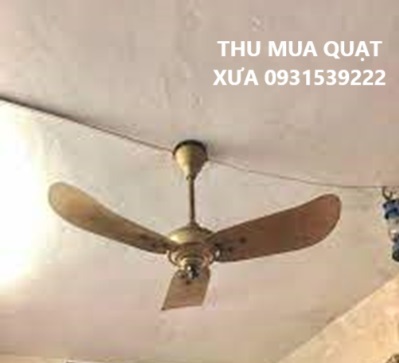 mua bán quạt cổ